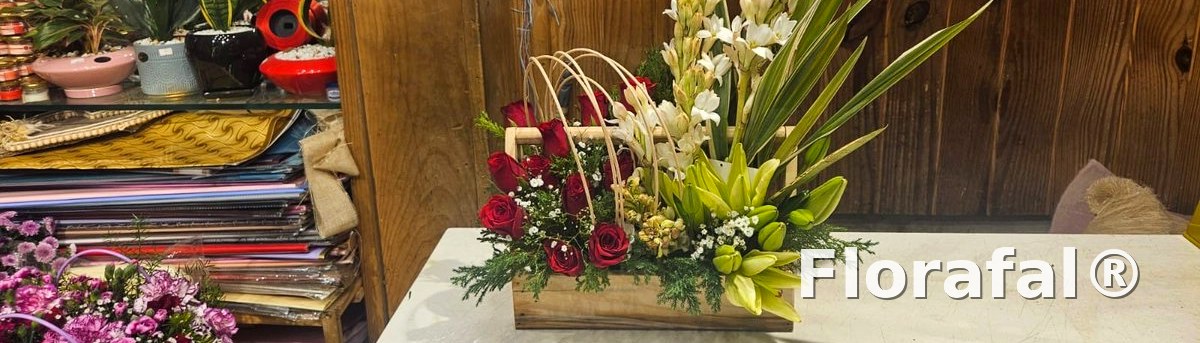 view 4