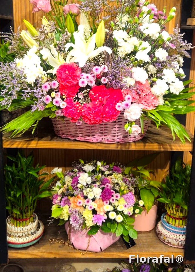 view 2